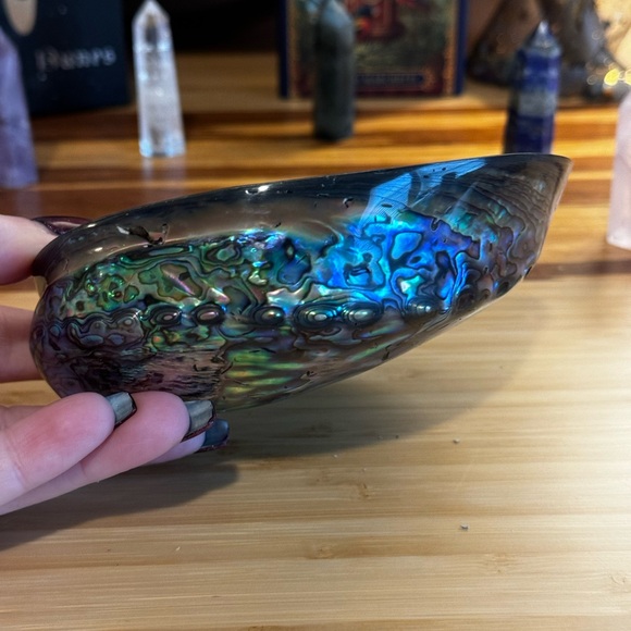 Smudging Bundle! Organic white sage & abalone shell - Picture 5 of 6